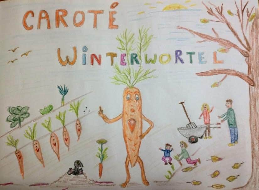 Caroté Winterwortel…