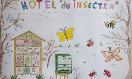 Hotel “de insecten”,